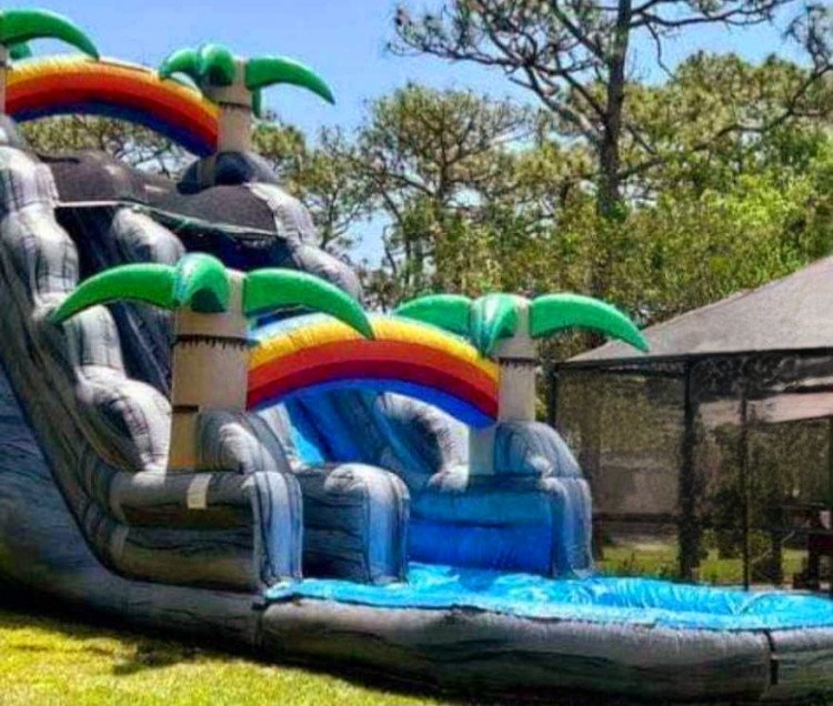 Palm Tree Water Slide